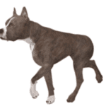 Blogfrog 4 300 X 300 1 demonstrating ParqEx's smart parking technology in action.