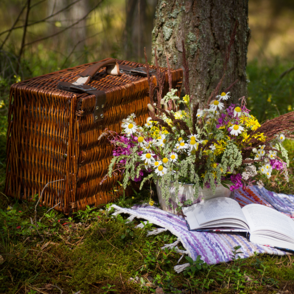 Top 10 Picnic Places in Madison Wisconsin Madison