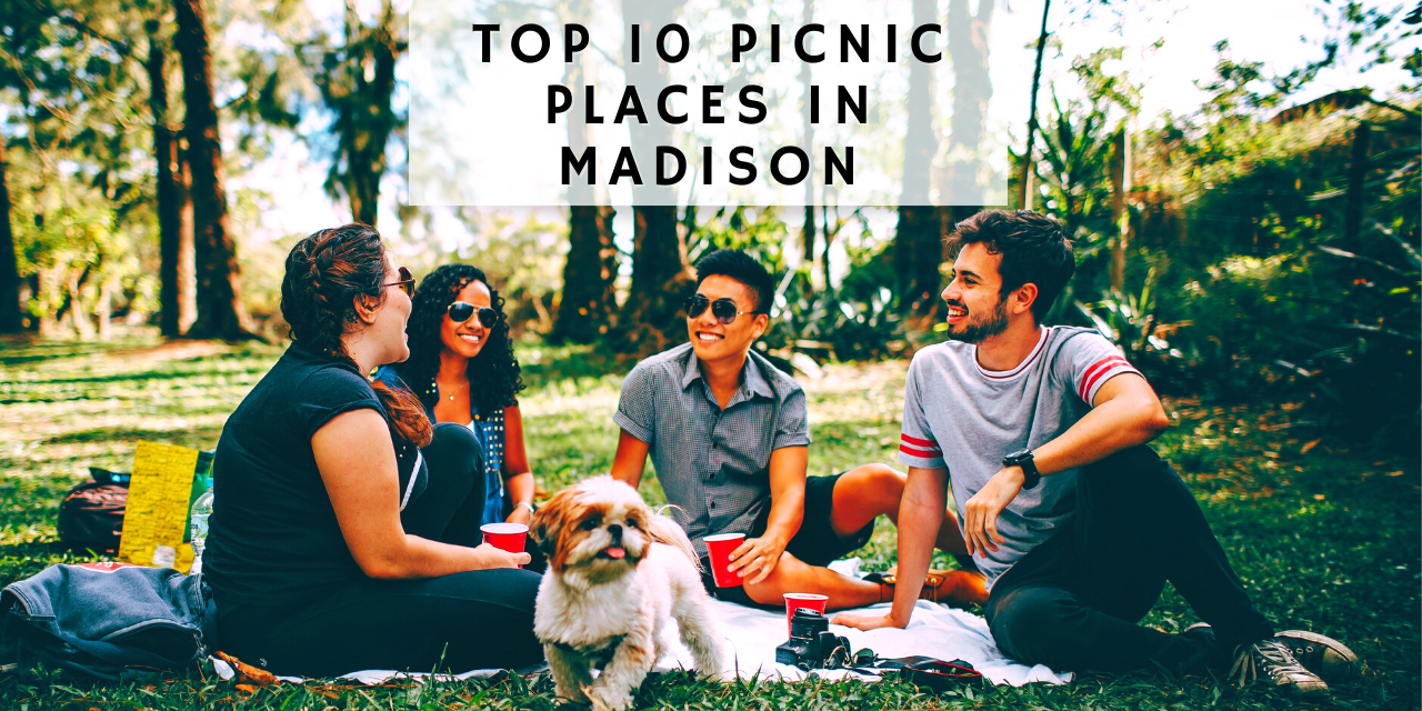 Top 10 Picnic Places in Madison Wisconsin Madison